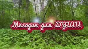 Мелодия для души, музыка для вашего отдыха