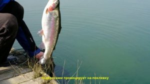Ловля на силиконовые приманки!!! Fishing TV