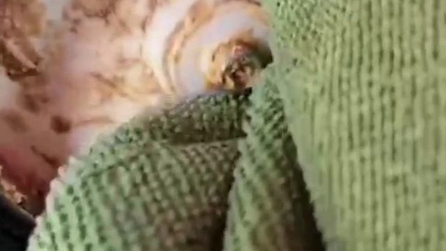 Опасность мороженого из автомата