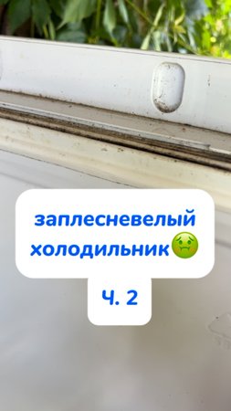 часть 2