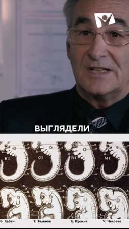 Закон бытия