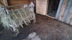 Чем я занимаюсь перед сном 🫣.