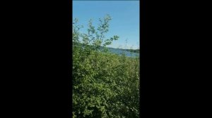 виды из окна поезда на Ладожское озеро в районе г. Сортавала снято 14.06.2026г