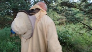 Роение пчёл: За кулисами сладкого меда