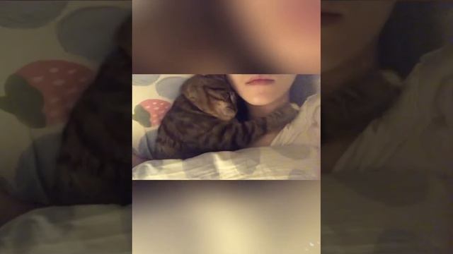 ем, кто ложится спать - Спокойного сна. Спокойная ночь.