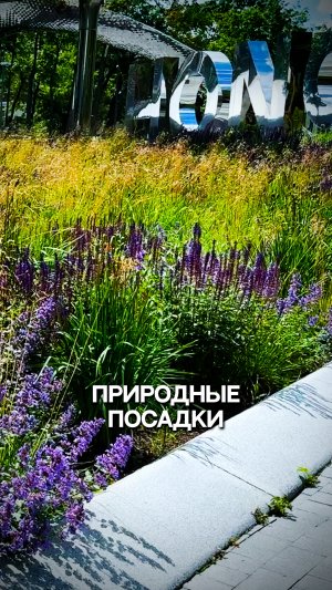 Природные посадки