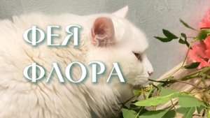 Фея Флора