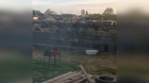 Арболит технология укладки