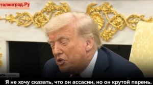 Трамп заявил, что его беседы с Путиным всегда приятны.