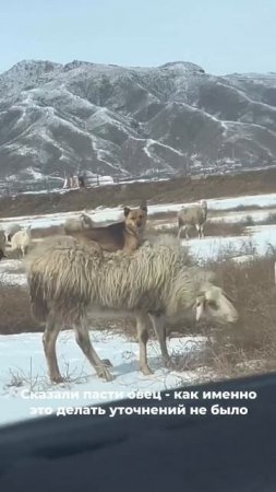 Не нужно лезть в его дела