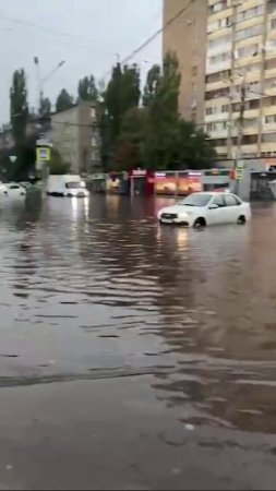 Много затопленного Воронежа не бывает, согласны? 🫢