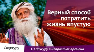 Верный способ потратить жизнь впустую