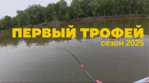 Первый выезд на Обь и сразу трофей! Рыбалка на джиг в июне, щука, судак.