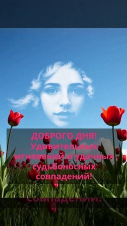 Доброго дня! Удивительных мгновений и удачных судьбоносных совпадений!