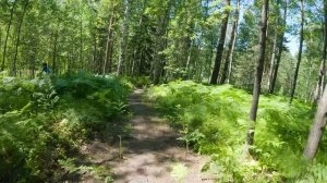 XCO Воробьи (1 и 2 петля)