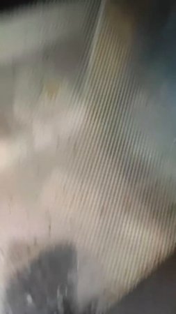 Мама всё ещё верит, что тут есть лабота️