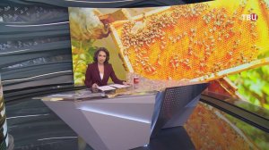 В Приморье начался сезон сбора меда: у него особые вкус и свойства / События на ТВЦ