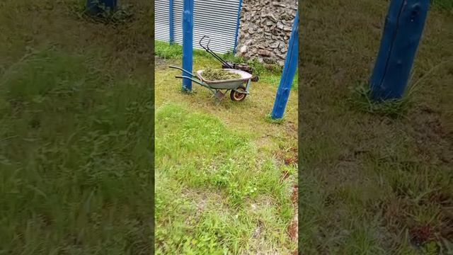 ремонт газонокосилки