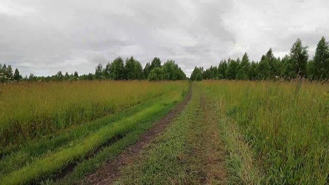День 513. Границы без изменений. Дистанция 11 километров.#сезонконтентаRUTUBE