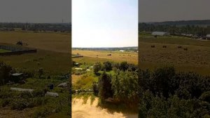заготовка Сена