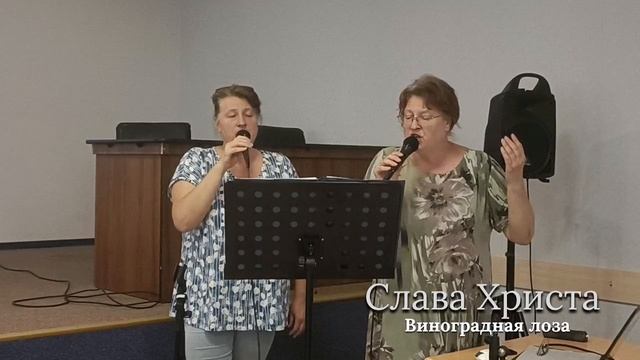 Виногдная лоза.