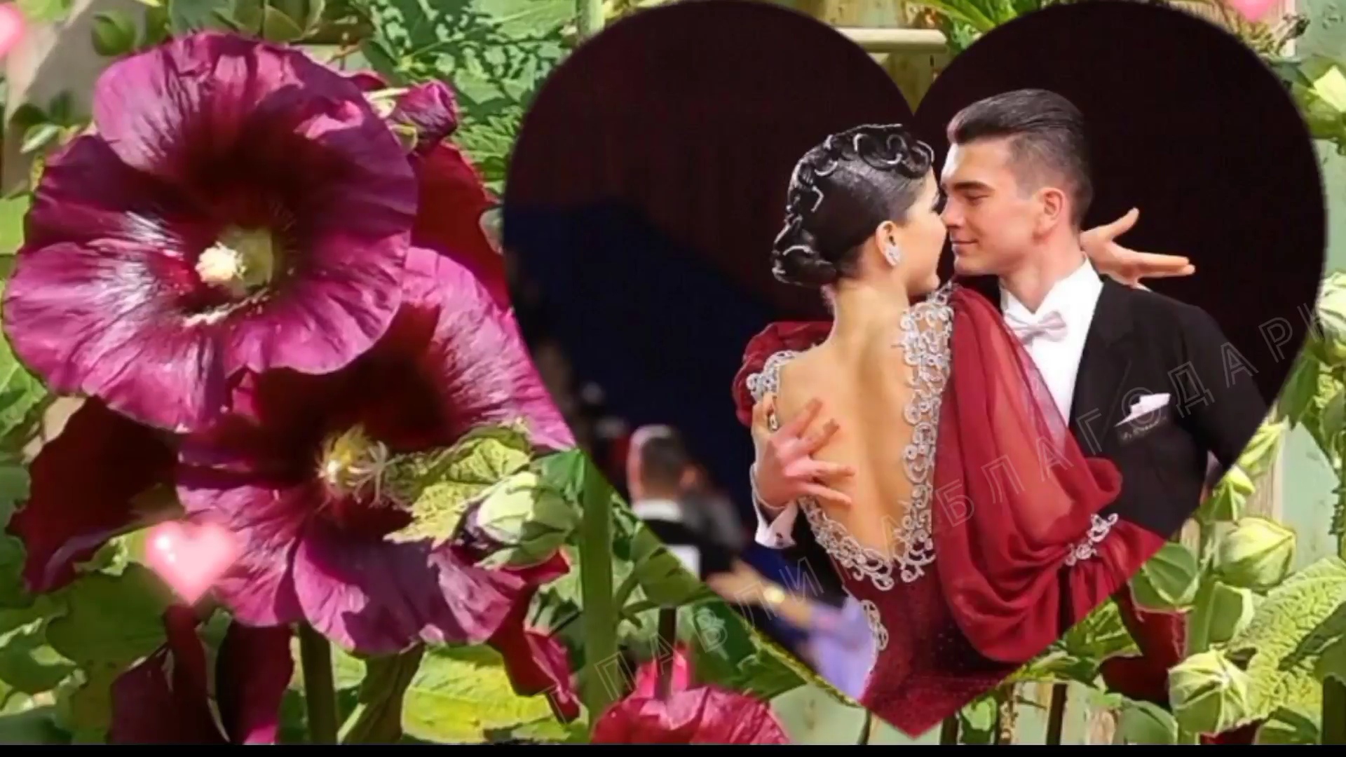 МАЛЬВЫ. Закружились вихре танца.