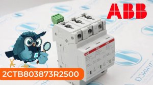 2CTB803873R2500 Ограничитель перенапряжения ABB - Олниса
