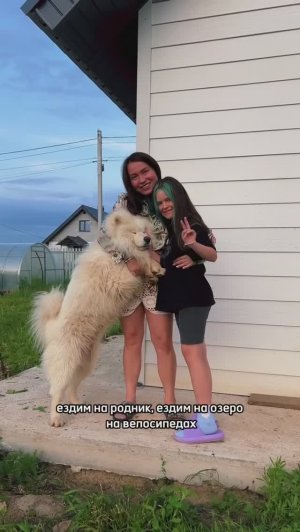 Видеоотзывы жителей Экопоселка Роса, (Казань, Высокогорский район)