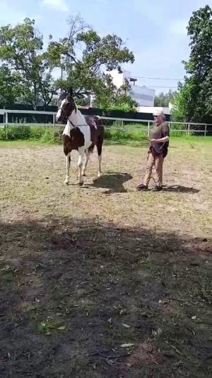 Карамель у нас на конюшне