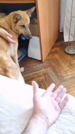 Трудный выбор🧐🤔😅