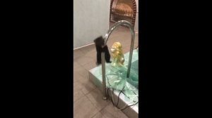 Какое странное дерево... Надо на него взобраться.
