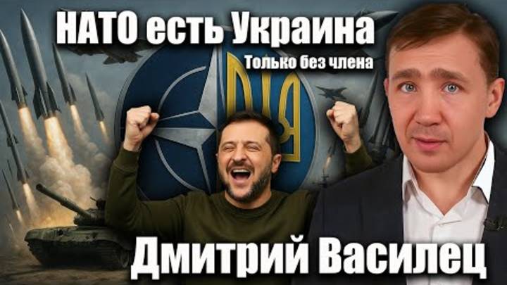 НАТО в Украине. Только без членства. Дмитрий Василец
