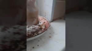 1000017912.mp4
