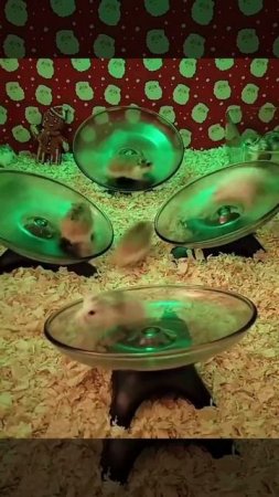 Ночные клубы