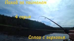 Таймени атакуют приманки толпой. Щука на мыша. Сплав с верховья