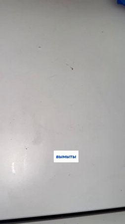 copy_9E14A1C2-D19D-455A-BE7C-74A6460AE0F2