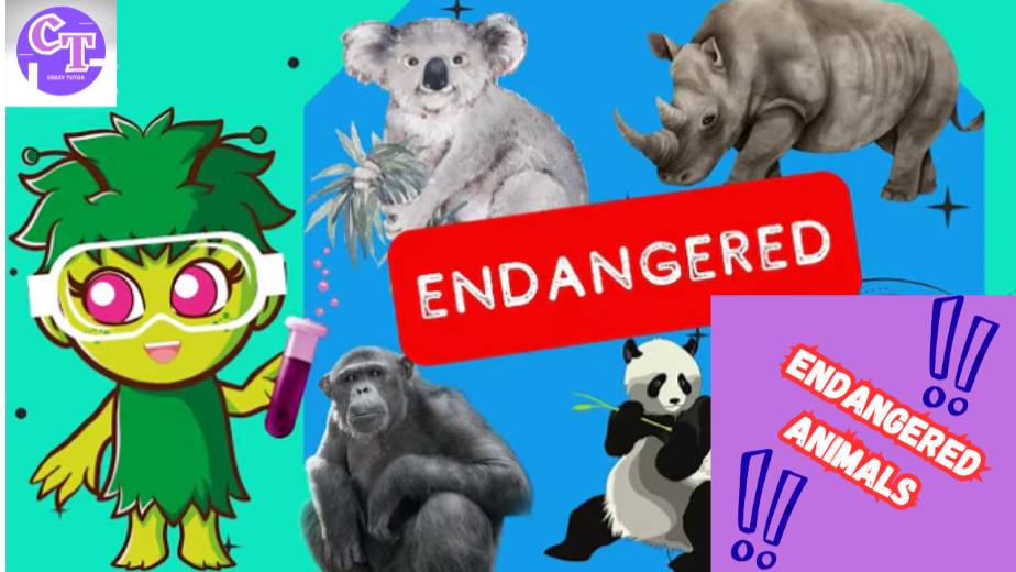 Endangered Animals смотреть онлайн