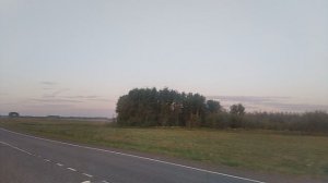 на Рассвете ☀️🪶 Целуя птиц!