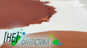 «Умная» упаковка для фруктов и овощей: пластик заменят съедобные пленки и растворы