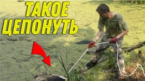Богатый УЛОВ НАХОДОК на ПОИСКОВЫЙ МАГНИТ в Диком ОЗЕРЕ у Дороги, Поездку ОТБИЛИ и Не Только!!!