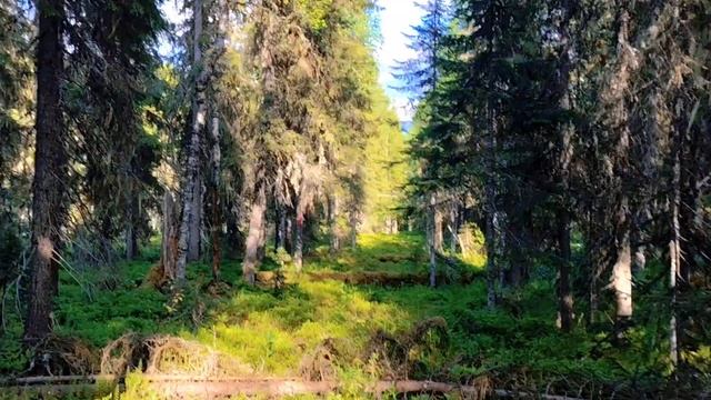 Выпускники кафедры туризма ПГНИУ получили дипломы в горах