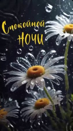 Спокойной ночи