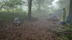 СЕМИГЛАВАЯ 2025