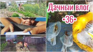 ВСТРЕТИЛИ ГОСТЕЙ 🏡 // ГОТОВИМСЯ ПО ТИХОНЬКУ К РЕМОНТУ // ПОРЯДОК НА ДАЧЕ НАВОДИМ