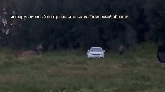 Готовившего теракт агента спецслужб Украины обезвредили в Тюмени