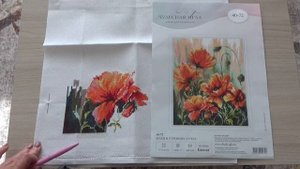 Влоговое видео Сиреневый натюрморт Маки в утренних лучах