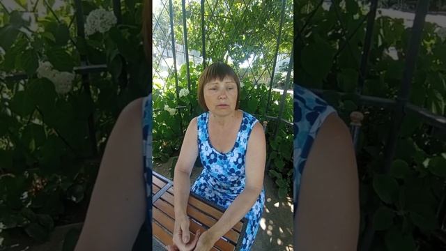 НОРМИРОВАНИЕ ВИНОГРАДА 🍇