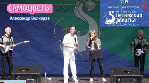 "На дальней станции сойду", "Белые крылья" -гр.САМОЦВЕТЫ и Александр Волкодав #самоцветы #volkodav