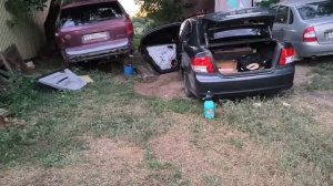 Когда хочется Панча. Dl Audio Gryphon Pro 165 midbass.