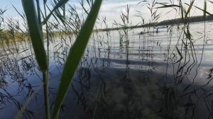 - "Это не Чуркан, папа..." Поездка на озеро Чуркан